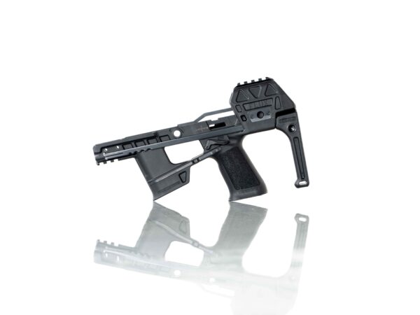 Raider X BLEM - P320