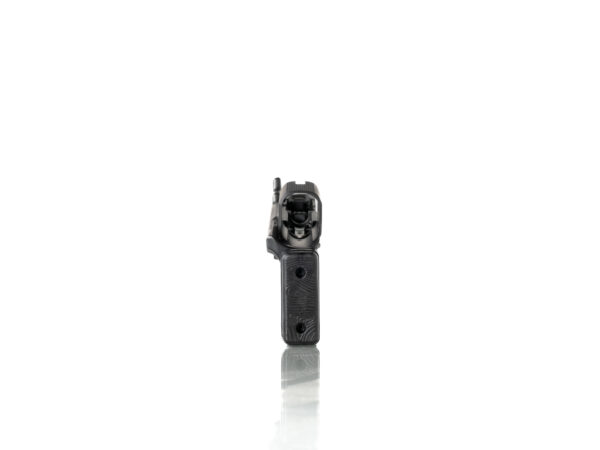 Raider P365 Ultralight SBR variant